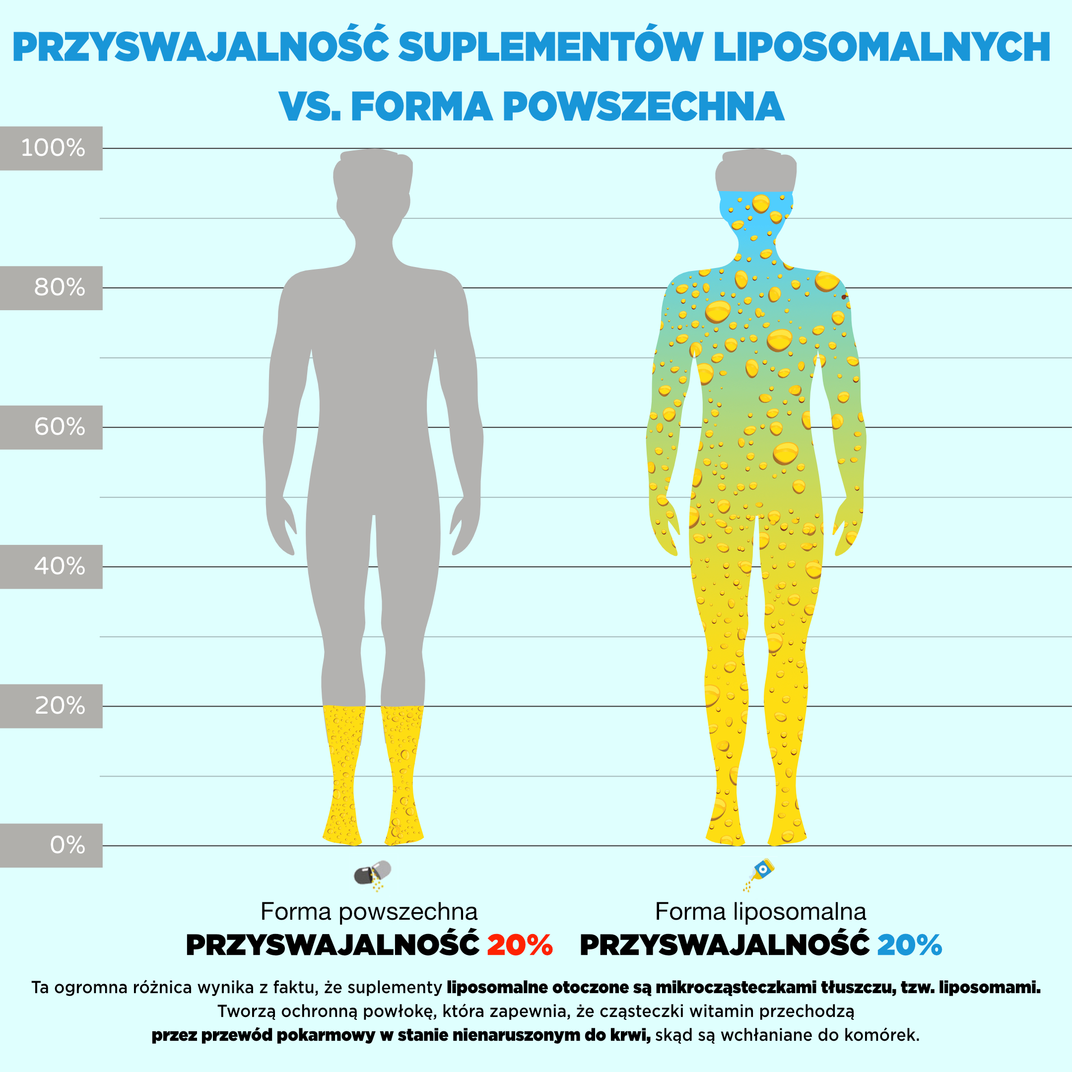 vstrebavani lipozomu_infografika1_pl